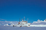 Professor Molchanov: crociere in Antartide, Isole Falkland, Georgia Australe ed Isole Atlantiche