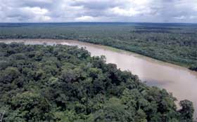 Foresta pluviale amazzonica, Ecuador