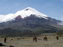 Vulcano Cotopaxi, Ecuador